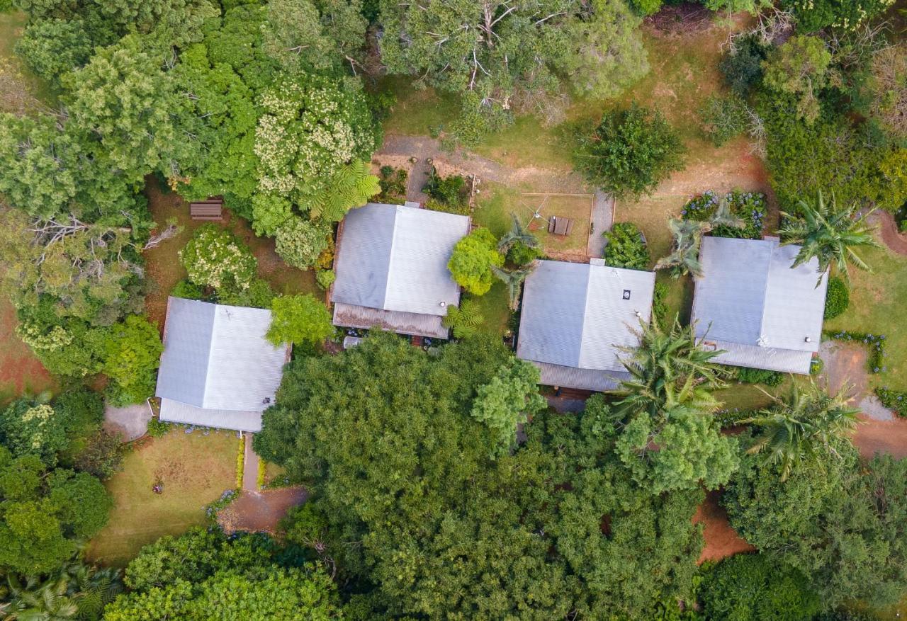 Romantic Cottage, Tamborine Mountain Exteriör bild