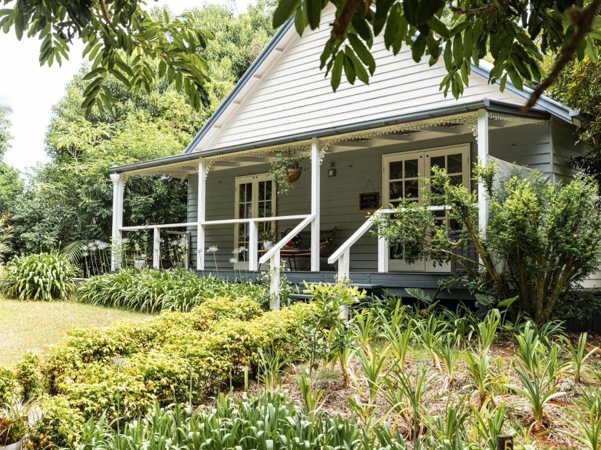 Romantic Cottage, Tamborine Mountain Exteriör bild